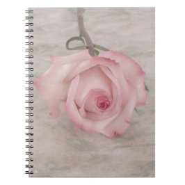 Caderno Espiral Flor Rosa Rosa Rosa Suave