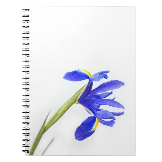 Caderno Espiral Flor roxa da íris (Frente)