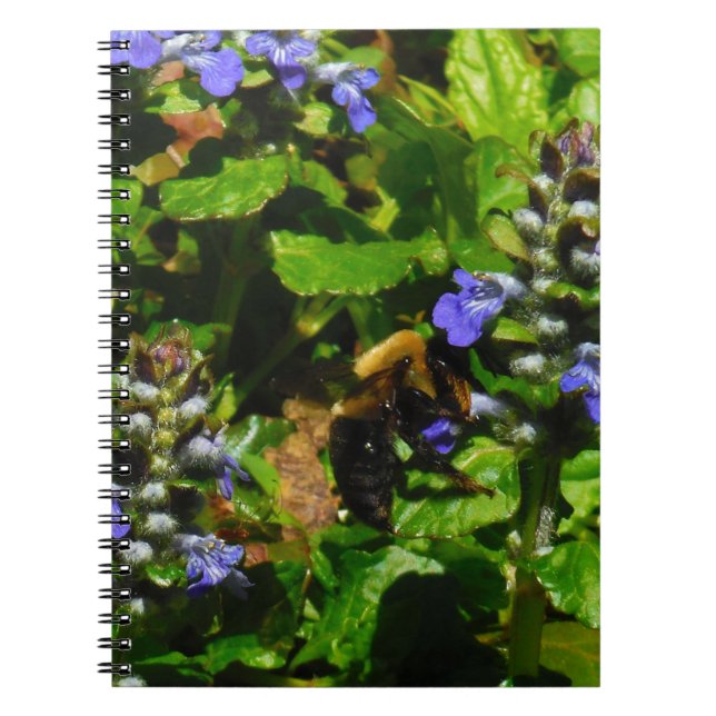 Caderno Espiral Flor Roxo e Abelhas (Frente)