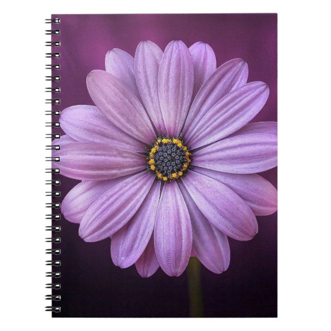 Caderno Espiral Flor Roxo no Bloom (Frente)