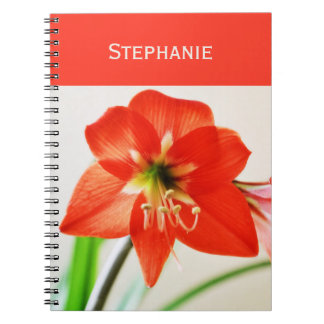 Caderno Espiral Flor Vermelho Amarillis
