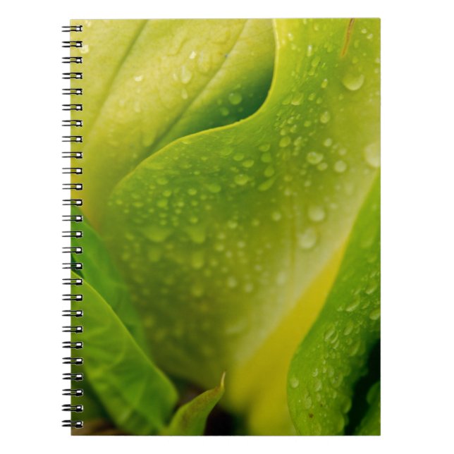Caderno Espiral Flora Dominica 3 (Frente)