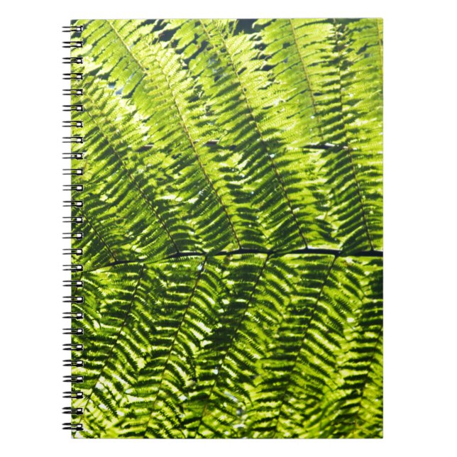 Caderno Espiral Flora Dominica 5 (Frente)