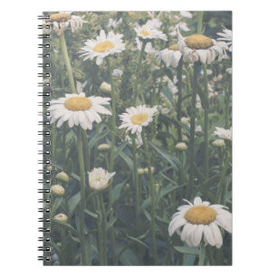 Caderno Espiral Floral Campo de Margaridas