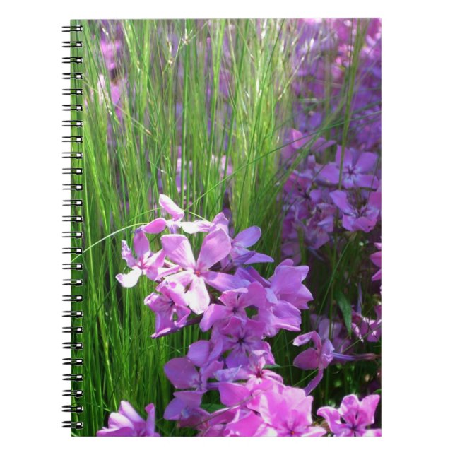 Caderno Espiral Floral de Verão de Flox e Grama Rosa (Frente)