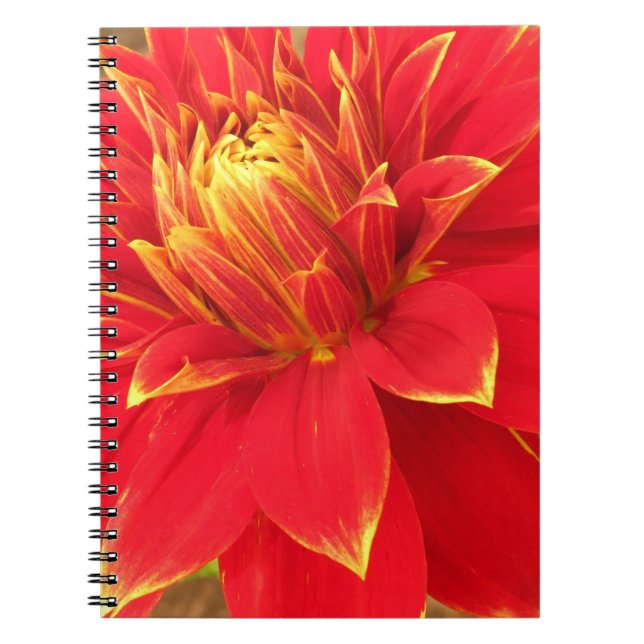 Caderno Espiral Floral Fotográfico (Frente)