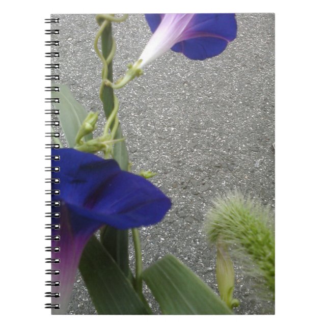 Caderno Espiral Floral roxo (Frente)