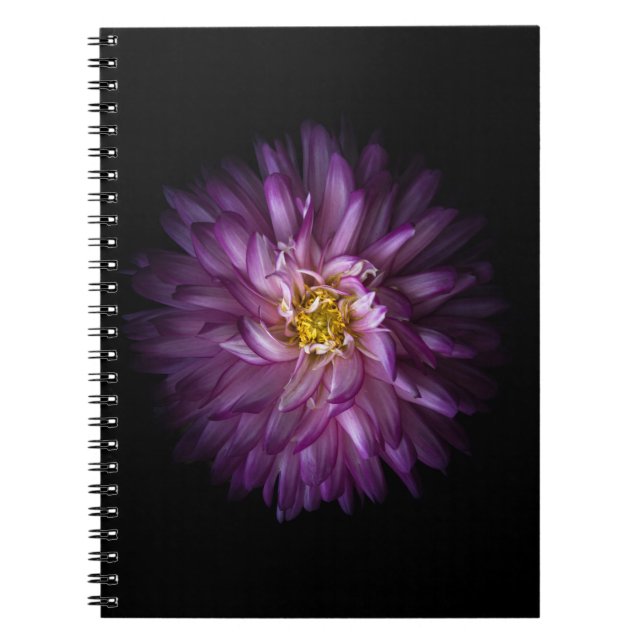 Caderno Espiral Flores 20 (Frente)