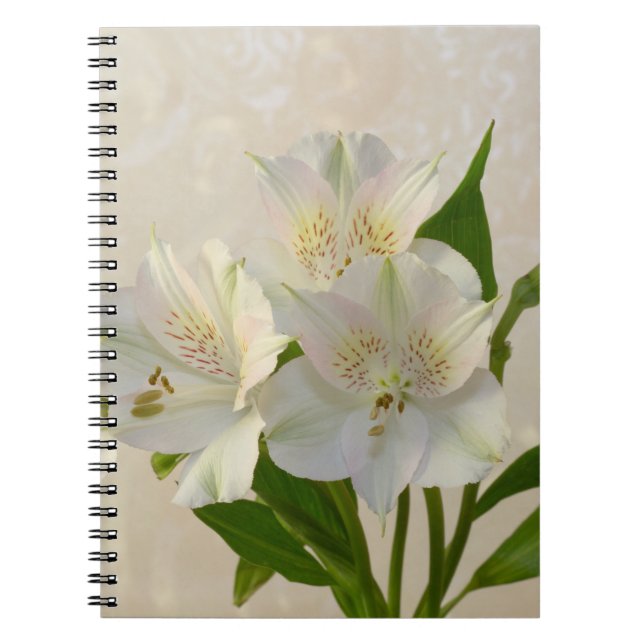 Caderno Espiral Flores Alstromeria Brancas (Frente)