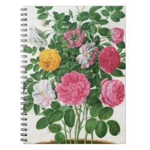 Caderno Espiral Flores Antigas em Flor, Rosas de Jardim da Primave