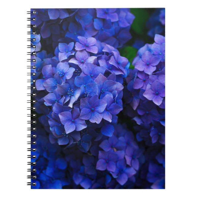 Caderno Espiral flores azuis (Frente)