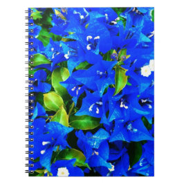 Caderno Espiral Flores azuis vibrantes do Bougainvillea