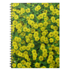 Caderno Espiral Flores bonito Amarelas Pequenas