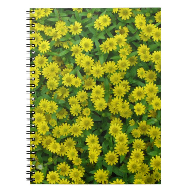 Caderno Espiral Flores bonito Amarelas Pequenas (Frente)