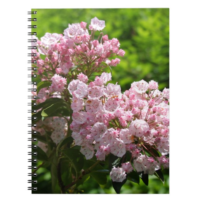 Caderno Espiral Flores bonito de Laurel Montanha Rosa (Frente)