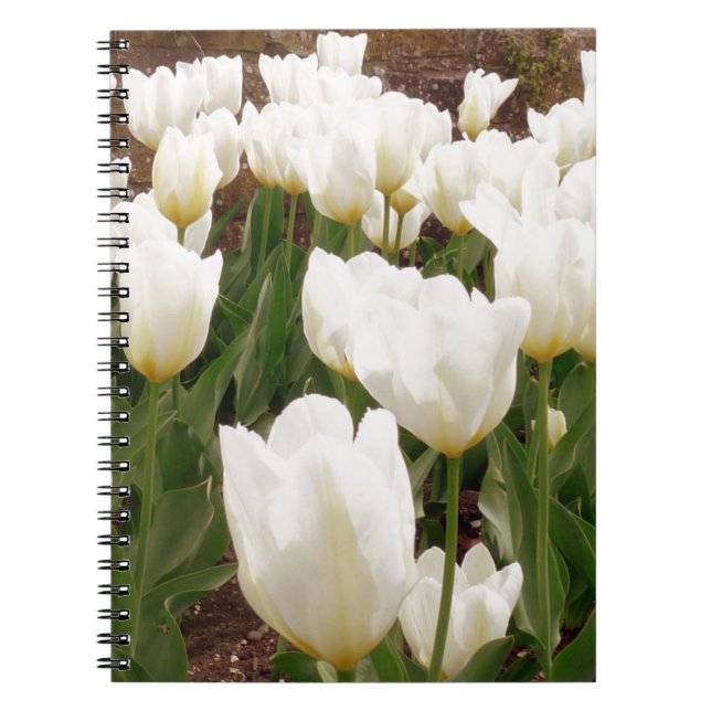 Caderno Espiral Flores Brancas (Frente)