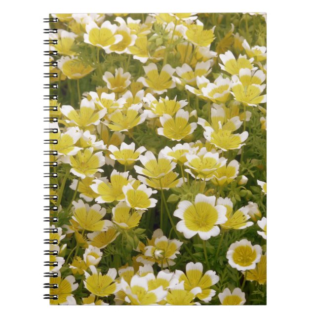 Caderno Espiral Flores Brancas Sunny Douradas (Frente)