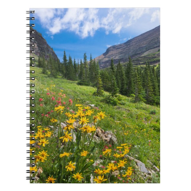 Caderno Espiral Flores | Caminho da Flor de Montana (Frente)