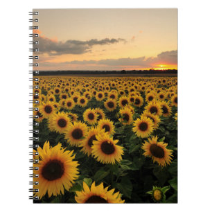 Caderno Espiral Flores Campo de girassol