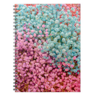 Caderno Espiral Flores Coloridas de Gipsófila Bebê em Tons Pastel