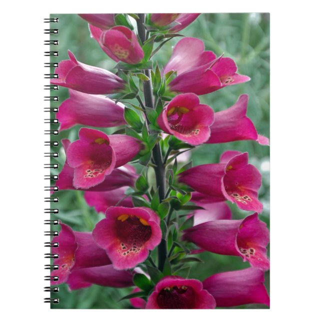 Caderno Espiral Flores cor-de-rosa (Frente)