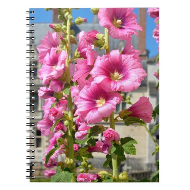 Caderno Espiral Flores cor-de-rosa hollyhocks, flores cartonadas (Frente)
