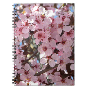 Caderno Espiral Flores cor-de-rosa na árvore de florescência