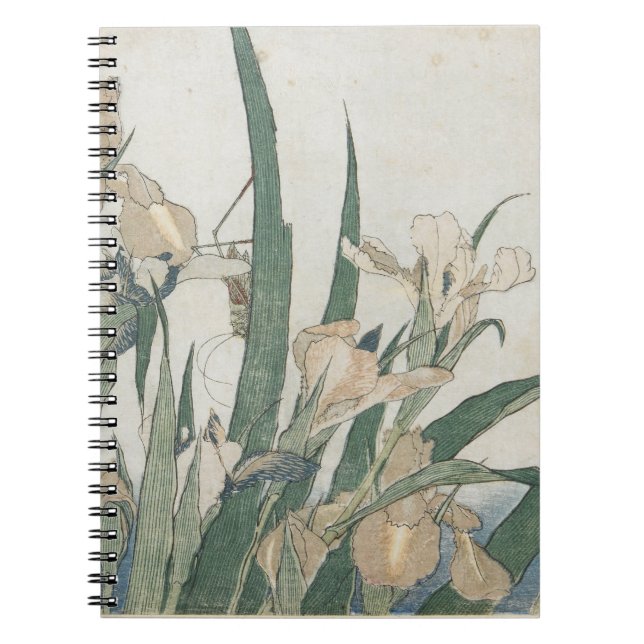 Caderno Espiral Flores da íris e gafanhoto, c.1830-31 (Frente)
