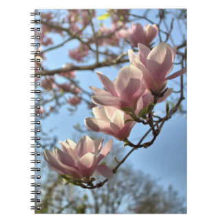 Caderno Espiral Flores da magnólia no primavera