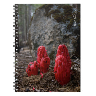 Caderno Espiral Flores da neve