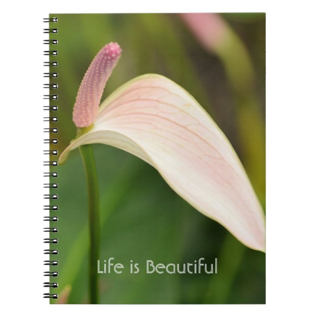 Caderno Espiral Flores de Anturio Rosa Kauai (Frente)