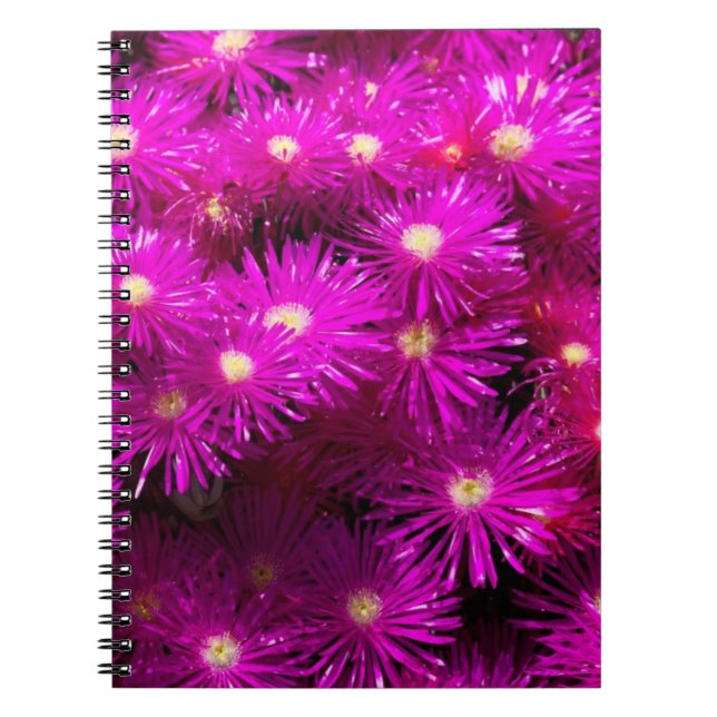 Caderno Espiral Flores de Aster Rosa (Frente)