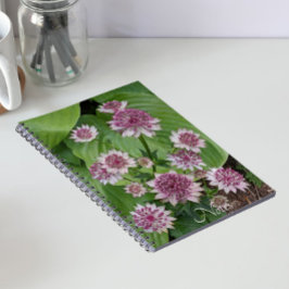 Caderno Espiral Flores de Astrantia Rosa