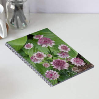 Caderno Espiral Flores de Astrantia Rosa