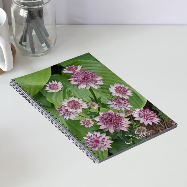 Caderno Espiral Flores de Astrantia Rosa (In Situ)
