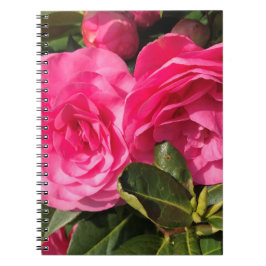 Caderno Espiral Flores de Camellia cor-de-rosa-escuro