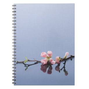 Caderno Espiral Flores de cerejeira na água