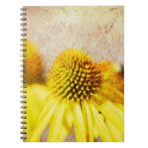 Caderno Espiral Flores de Echinacea de Verão