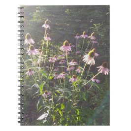 Caderno Espiral Flores de Echinacea no Sol