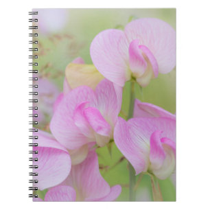 Caderno Espiral Flores de Ervilha Doce Seabeck, WA