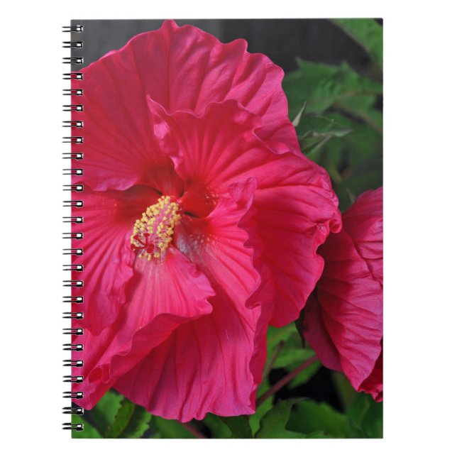 Caderno Espiral Flores de hibisco rosa (Frente)