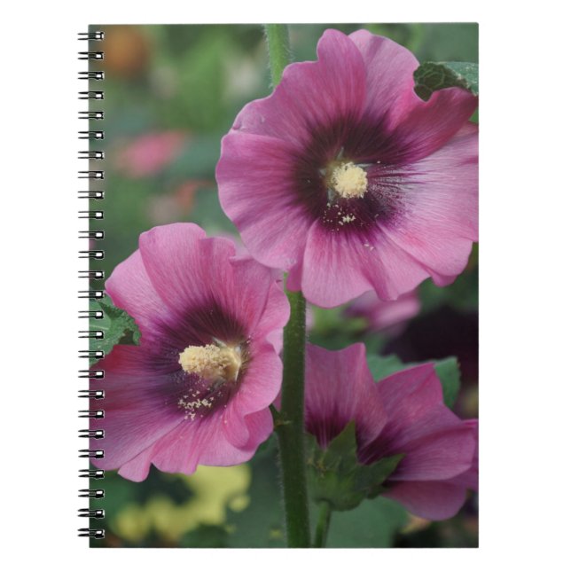 Caderno Espiral Flores de hibisco roxas (Frente)