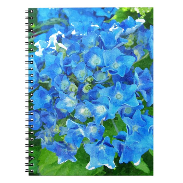 Caderno Espiral Flores de hydrangea azuis. Fotografia floral. (Frente)