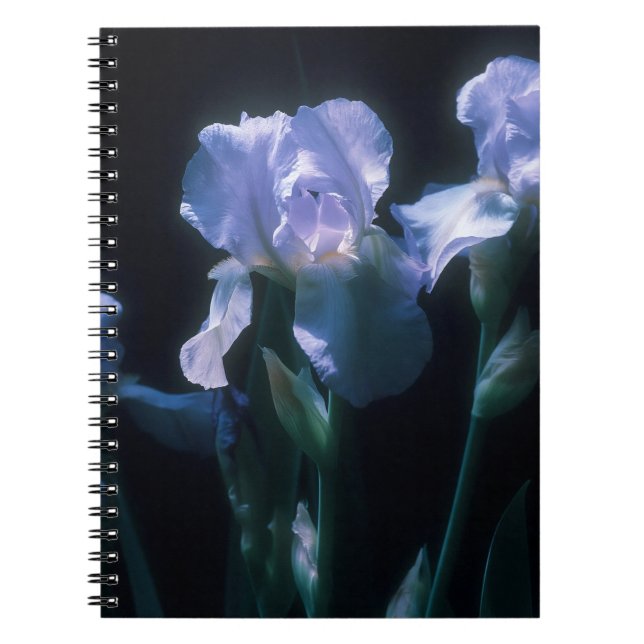 Caderno Espiral Flores de Íris ao Crepúsculo (Frente)