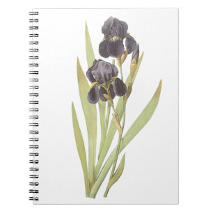 Caderno Espiral Flores de Íris Roxas