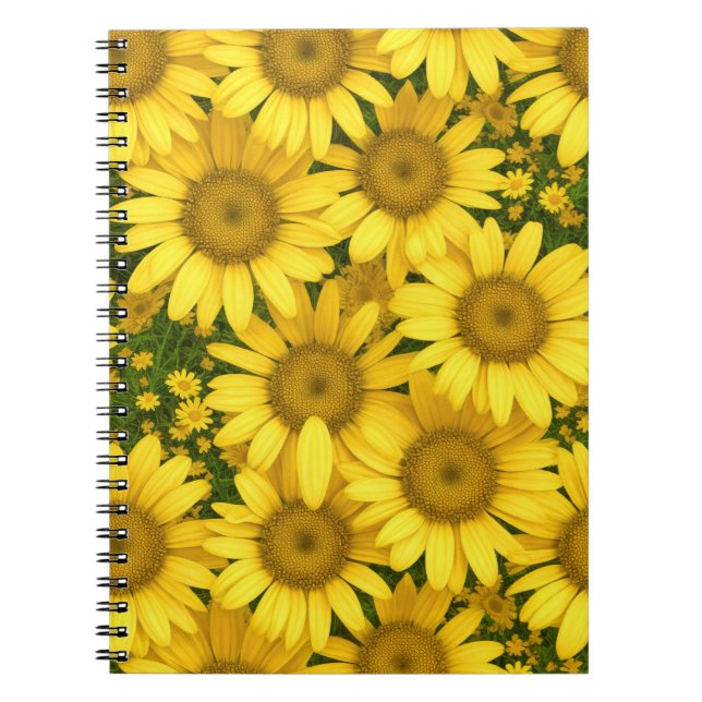Caderno Espiral Flores de margarida amarelas (Frente)