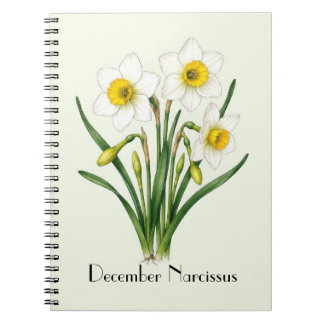 Caderno Espiral Flores de Narciso de Dezembro