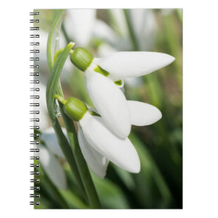 Caderno Espiral Flores de neve