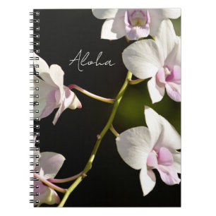 Caderno Espiral Flores de Orquídea de Kauai (foto tirada por mim)