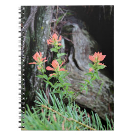 Caderno Espiral Flores de Pincel de Pintor Indiano Vermelho na Flo